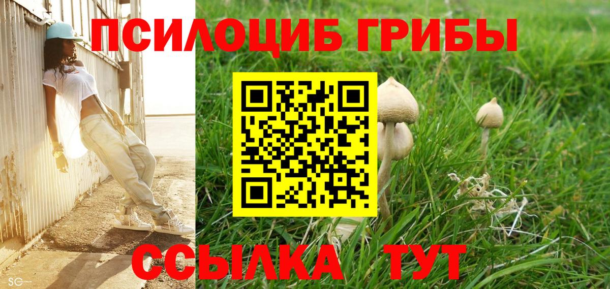 где можно купить наркотик  Галлюциногенные грибы прущие грибы  Кемерово  Вход с VPN  Псилоцибиновые грибы GOLDEN TEACHER 