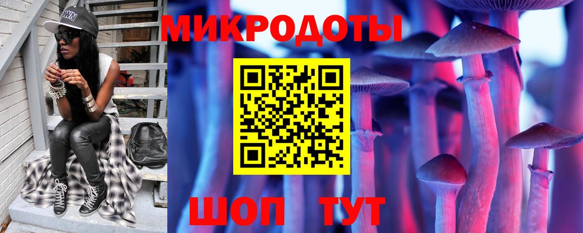 Псилоцибиновые грибы Psilocybe Кемерово